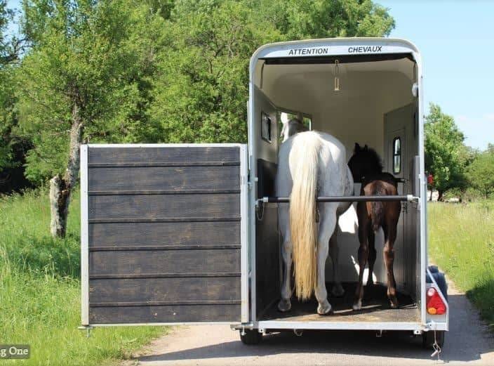 Van Cheval Liberte – 1.5 Pl Touring One